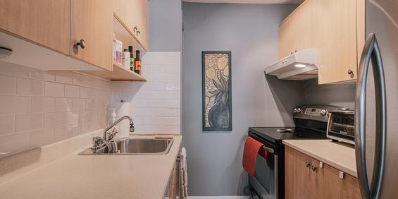 Pie XII Appartement 3 ½ à Louer Sainte-Foy / Sillery Juillet 2026 - Photo 3