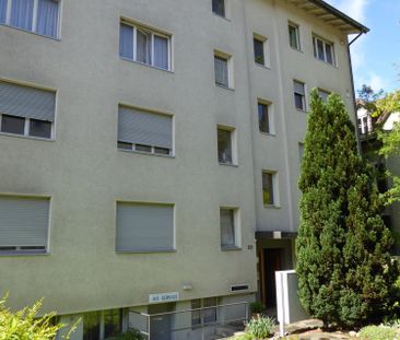 1 Zimmer, 25 m², EG - Foto 3