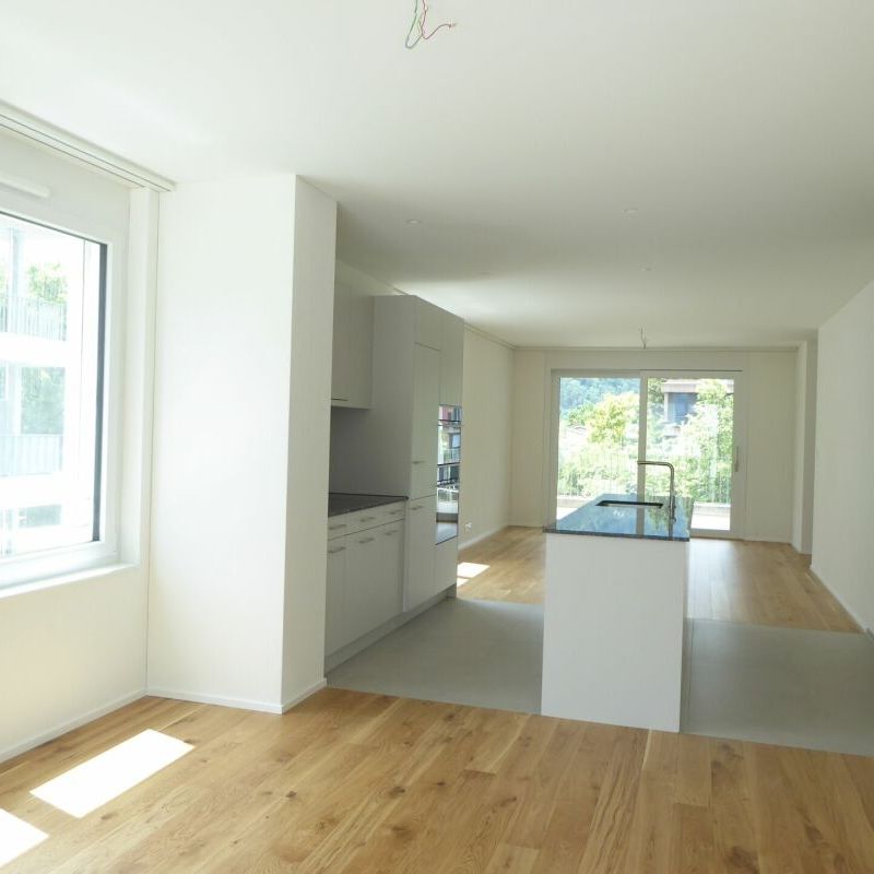 4 1/2-Zimmer-Wohnung - Neubauprojekt "Rheincity" - Foto 1