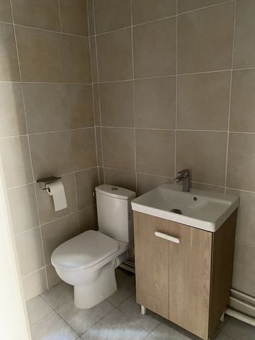 Location Appartement 1 pièce 16m² ALBI 81000 - Photo 3