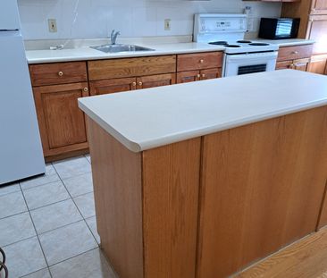 For Lease - 44 Sykes Street, Meaford, Ontario - Photo 4