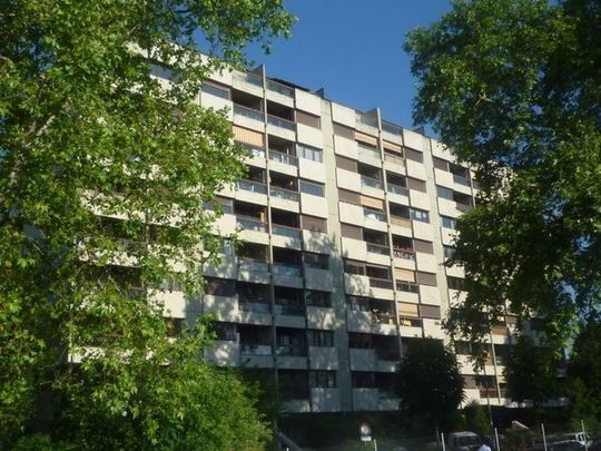 Traversant - Jonction - Bois de la Bâtie - Photo 1