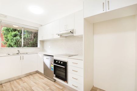 Sun-Filled Two (2) Bedroom Spacious Apartment, Centrally Located, Very Leafy Aspect - Photo 2