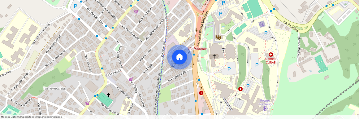 Via dell'Acqua Paola, Roma