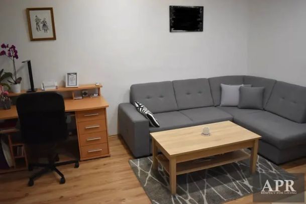 Pronájem bytu 2+1 Veselí nad Moravou - Hutník - Photo 1