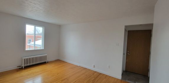 3-1/2 PROCHE UNIVERSITÉ - Photo 2