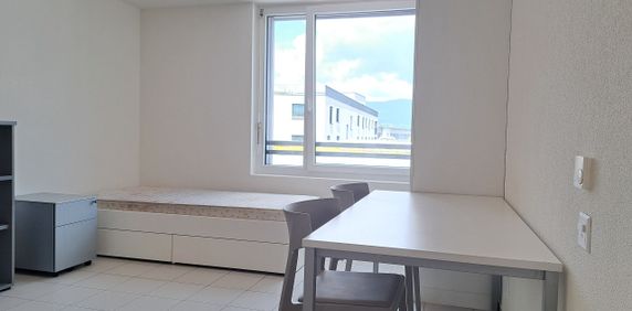 HALDIMAND 55, 1.5-room furnished studio in the city center - N320 - Foto 2