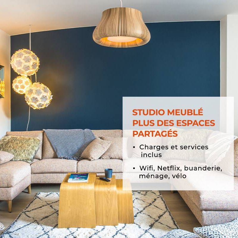 Appartement T1 Meublé clé en main - Nantes Bord de Sèvre - Photo 1