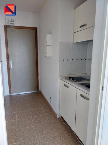 Location appartement 1 pièce 22.57 m² à Gaillard (74240) 5 - Photo 3