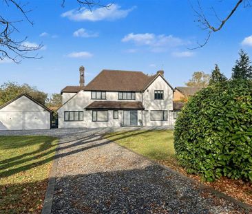 4 bedroom detached house to rent - Photo 3