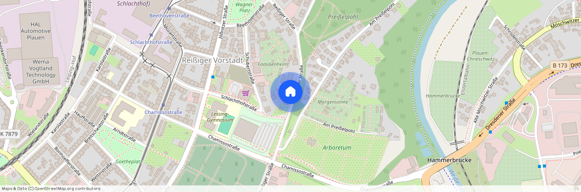 Reißiger Str. 83, 08525 Plauen