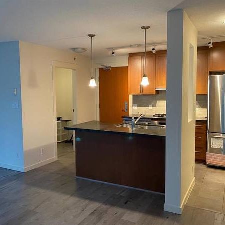 Coal Harbour Pet Friendly Renovated Spacious & Bright 2bd+2bth+den - Photo 4