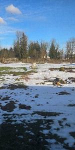 3 Bedroom 1 bath - SHORT TERM - $1999 - Photo 4