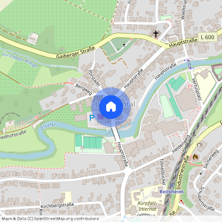 69245 Baden-Württemberg - Bammental