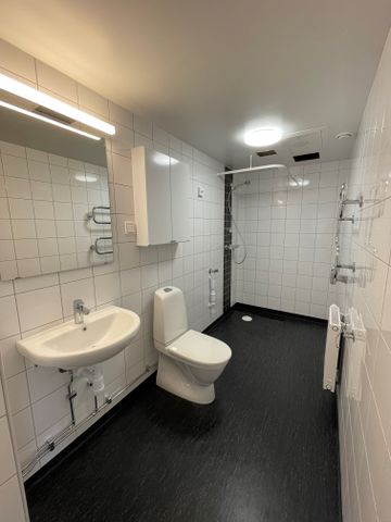 Vikingagatan, Gnosjö - Photo 5