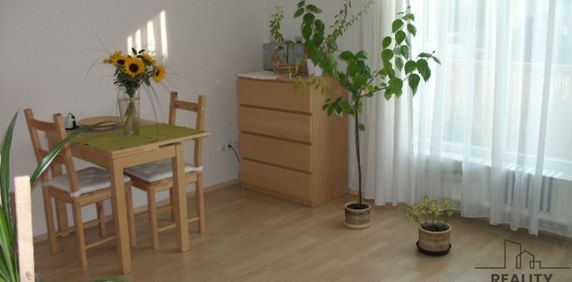 Pronájem bytu 1+kk a garsoniéry 29 m², Vlasty Průchové 1380, Praha - Fotografie 2