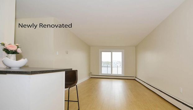 3 Dillman Place - Photo 1