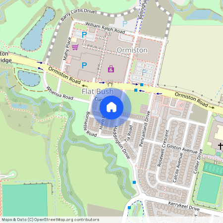 5 Gallipoli Place, Flat Bush, Manukau City