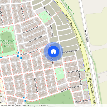 51 Albert Lewis Street, Markham