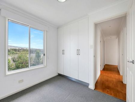 8A Albatross Av, Chiton SA 5211 - House For Rent | Domain - Photo 3