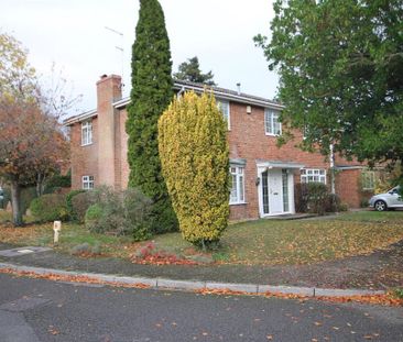 4 bedroom house to rent - Photo 5