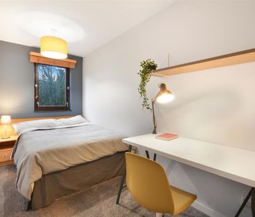 4 bedroom house to rent - Photo 3