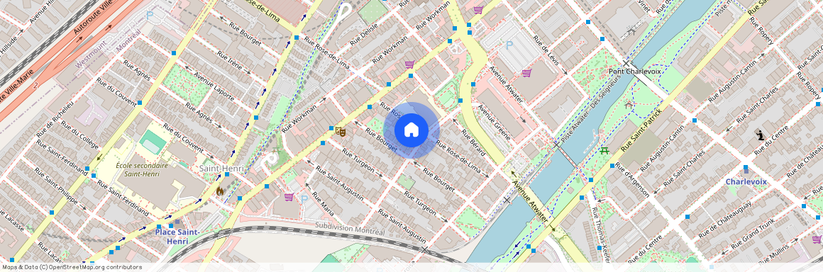 216 Rue Rose-de-Lima, Montréal (Le Sud-Ouest), H4C2L2