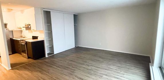 1 CH - 1 SDB - Gatineau - $1,149 /mo - Photo 2