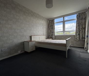 Richmond Hill Road - Photo 4