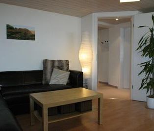 Altbauwohnung am Stadtrand von St. Gallen / Gemeindegebiet Teufen - Photo 3