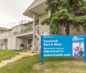 Tamarack East & West - Photo 5