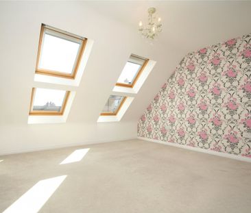 Cornflower Drive, - Photo 4