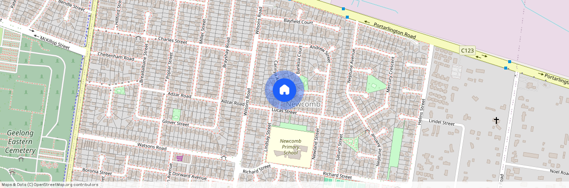 21 Carinya Avenue, Newcomb