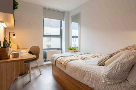 Flat share to rent - Photo 5