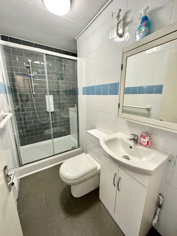 1 Bed Flat, Olney Road, SE17 - Photo 4