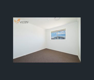 4 Bedroom Family House for rent in Schofields - Photo 3