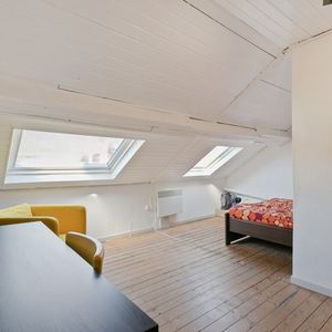 Room at Rue Bordiau 65 - Photo 2