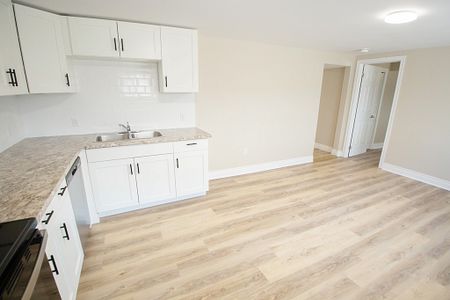 **BRAND NEW SUNNING APARTMENT AVAILABLE IN WELLAND - Photo 3