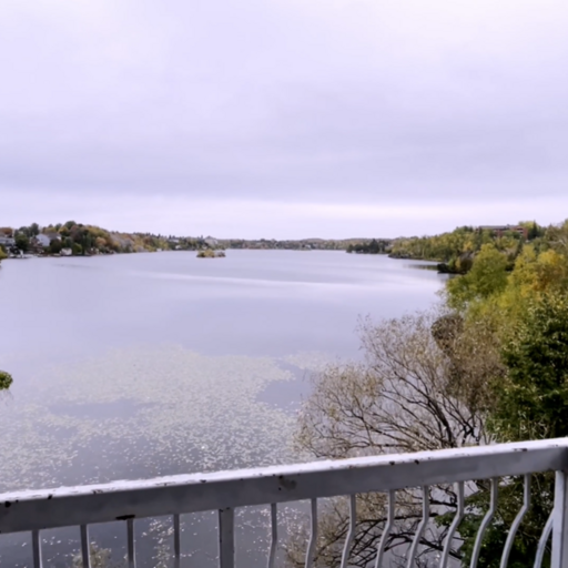 apartments at 1904 Paris Street - Photo 1