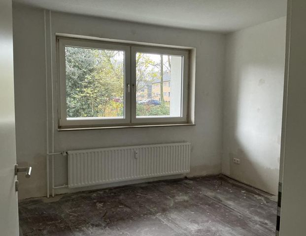 3-Zimmer-Wohnung in Gelsenkirchen Hassel im Erdgeschoss - Foto 1
