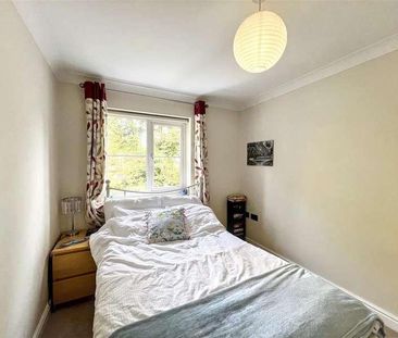 Earles Gardens, Norwich, NR4 - Photo 3