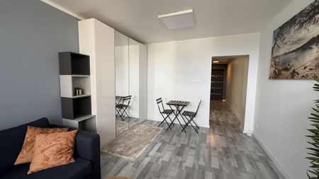 Mieszkanie do wynajęcia 1 pokoje Józefa Ryszki, Chorzów 33 m² - Zdjęcie 3