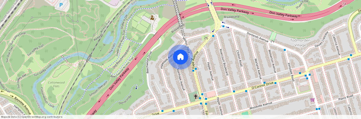 49 Stanhope Avenue Unit# Lower, Toronto