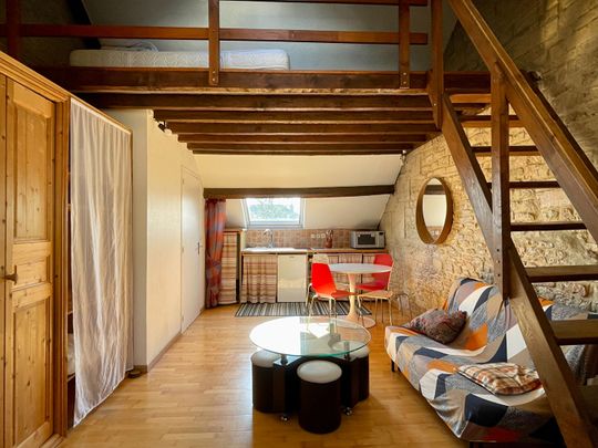 Location Appartement 1 pièce 25m² - Photo 1