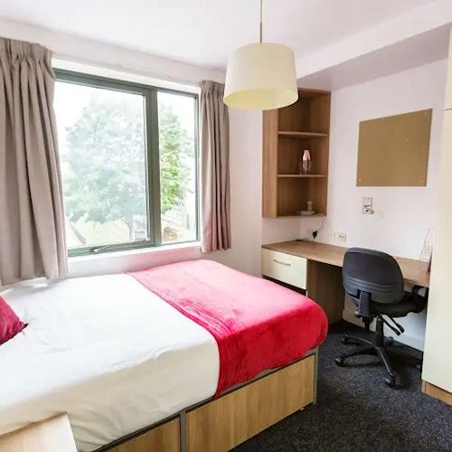 Bronze Studio Deluxe - Photo 1