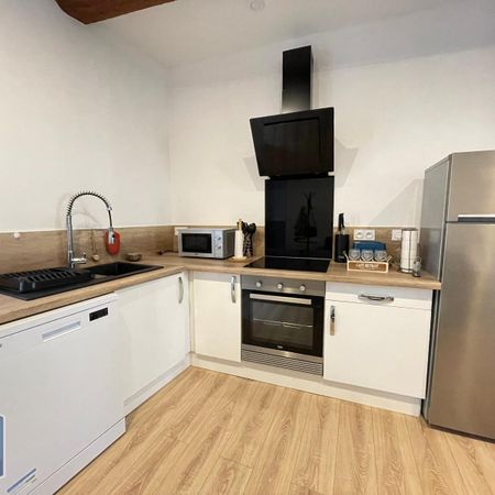 Location Appartement 1 pièce 33m² L ISLE SUR LA SORGUE 84800 - Photo 4