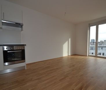 Annenviertel / Zentrum – 55 m² – großer Südbalkon – 2 Zimmer – Schl... - Photo 1