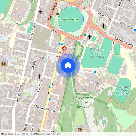 6 Brown Street, Mount Cook, Wellington City