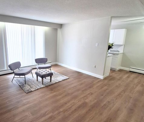 Courtyard Place Apartments - ALL INCLUSIVE - Photo 1