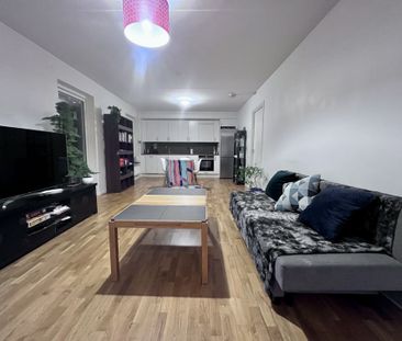 Gaffelseglet, Vega - Photo 6